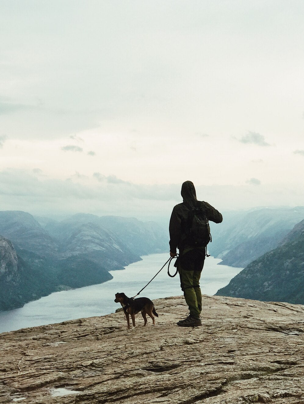 Camp & Companion